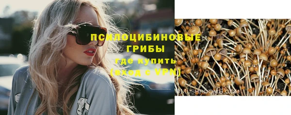 спиды Аркадак